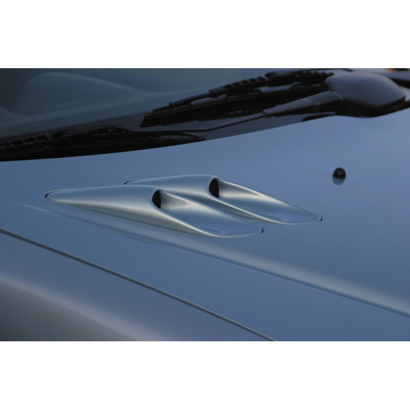 RGM, Bonnet air-intakes, passer til Peugeot 206 (replaces the original intakes)