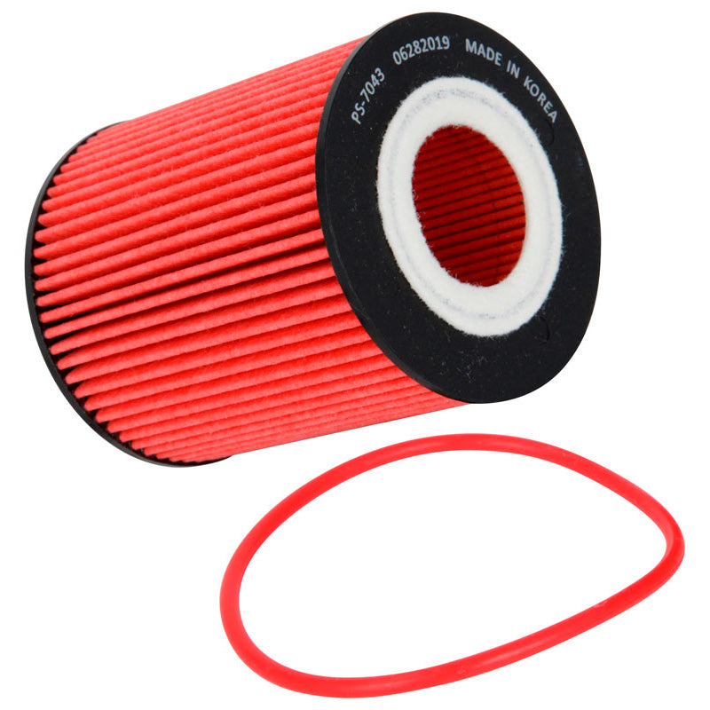 K&N Filtro de aceite - Serie de alto rendimiento, compatible con Ford (HP-7043)